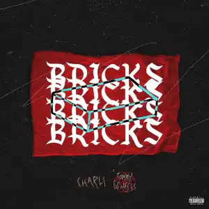 Tommy Genesis - Bricks Ft. Charli XCX